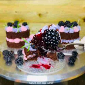 BlackBerry Mini Chocolate Cake