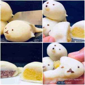 Seal Mochi