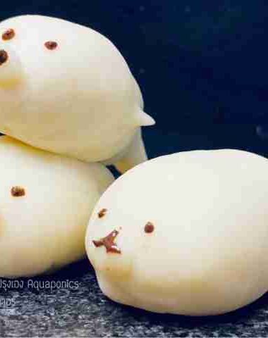 Seal Mochi