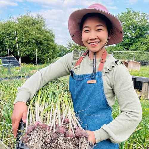 grow garlic