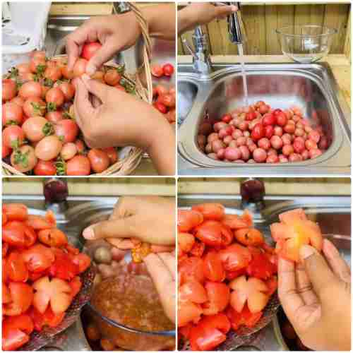 Dehydrated Tomatoes1