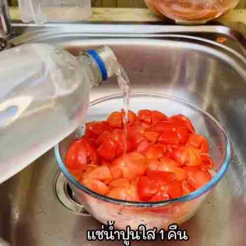 Dehydrated Tomatoes