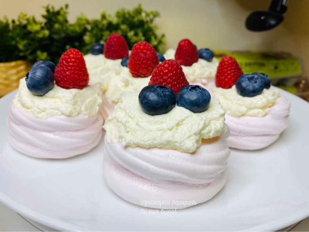 mini meringues(Single Post)