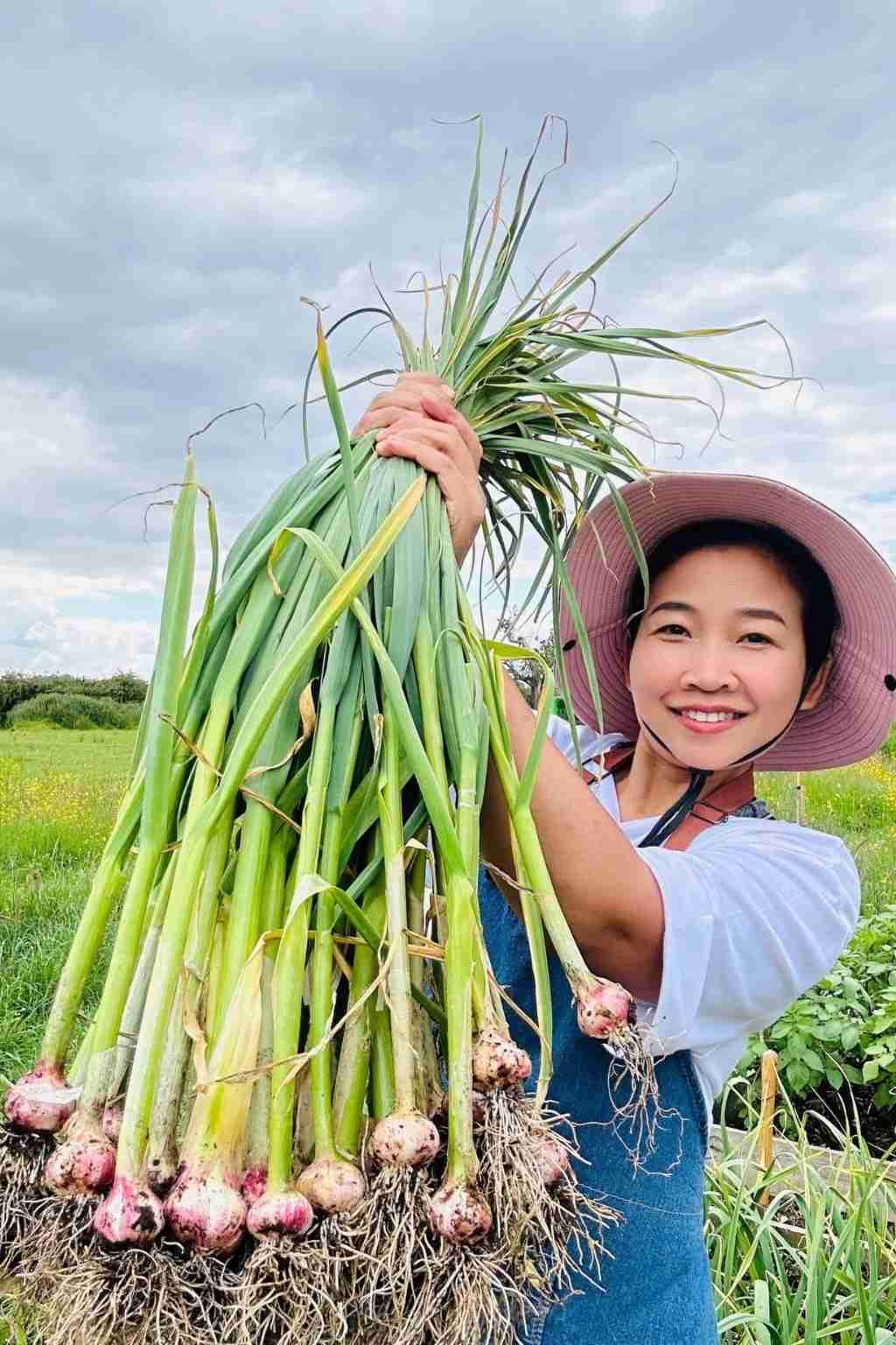 grow garlic