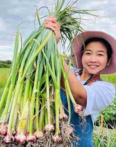 grow garlic